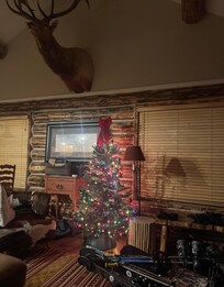 Cozy living room with Christmas tree