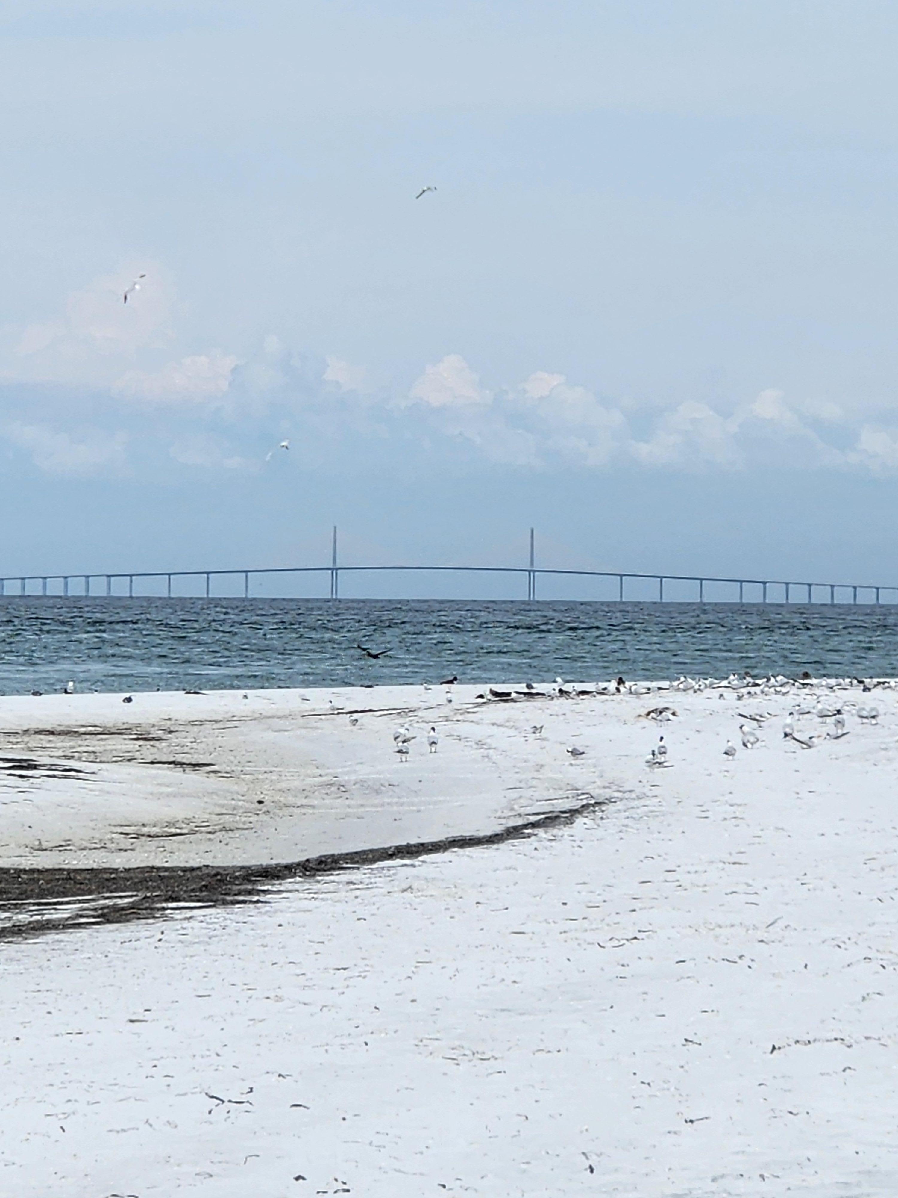 Nice view from Bean beach