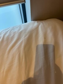 Hairs on bed, not mine, I’m blonde hairs very long and black