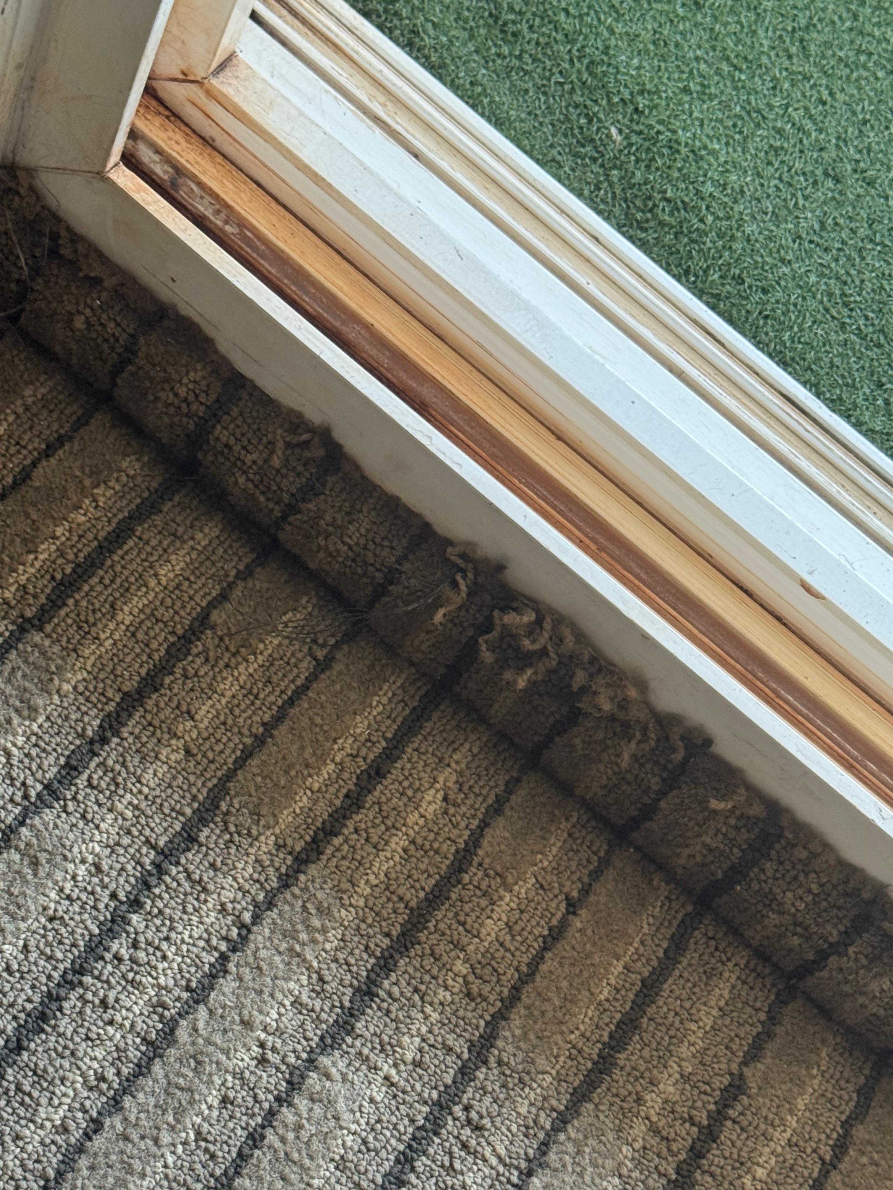 Chopped carpet all over the place