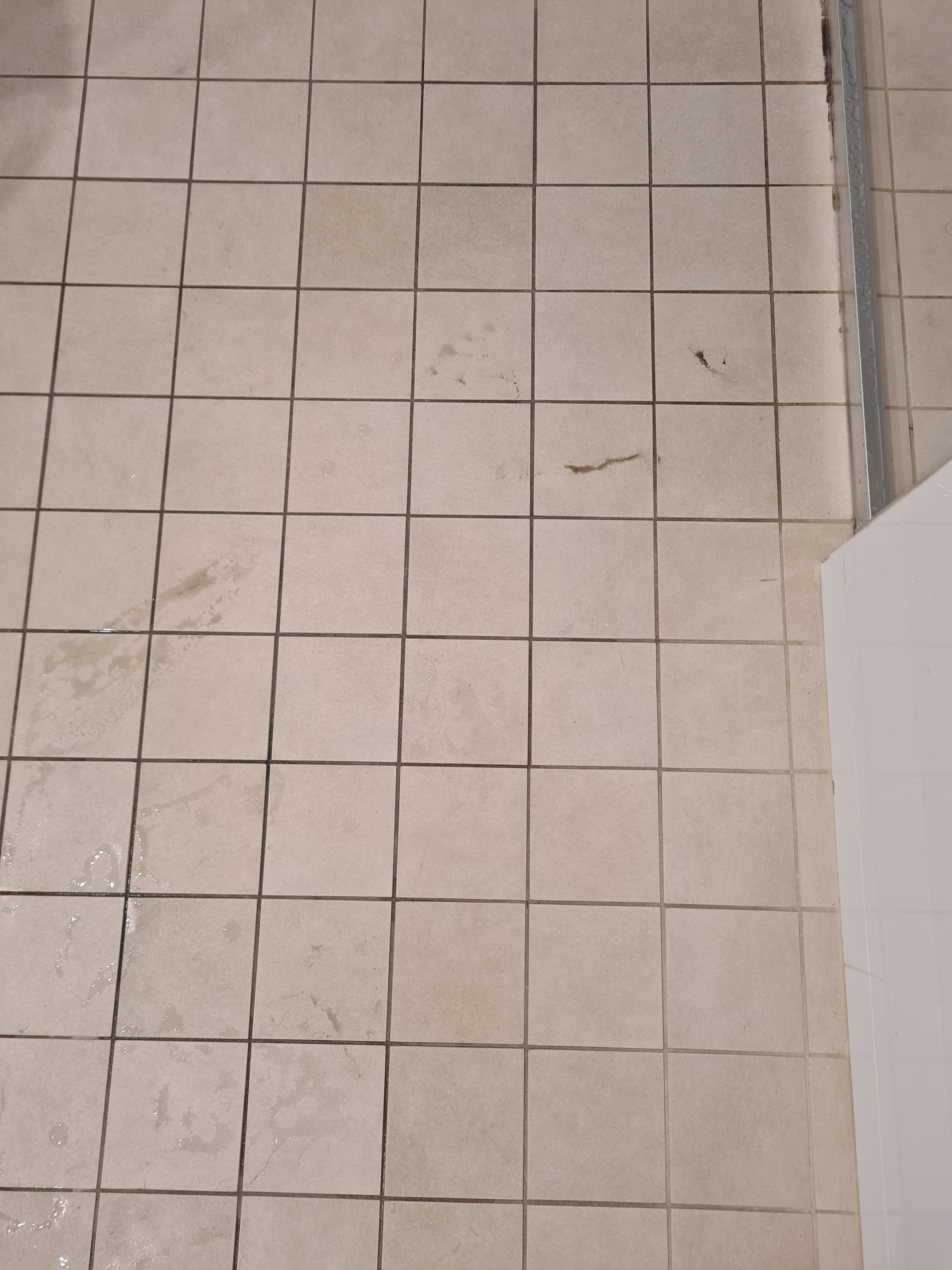 Leaking water from toilet