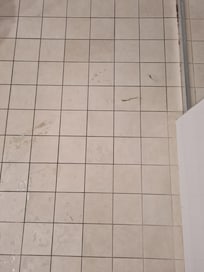 Leaking water from toilet