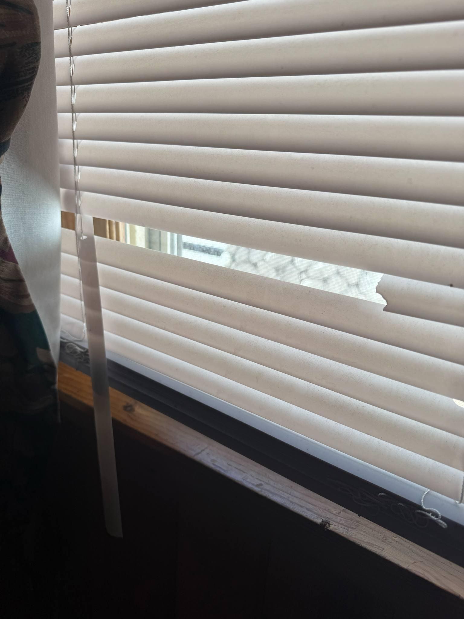 Broken Blind
