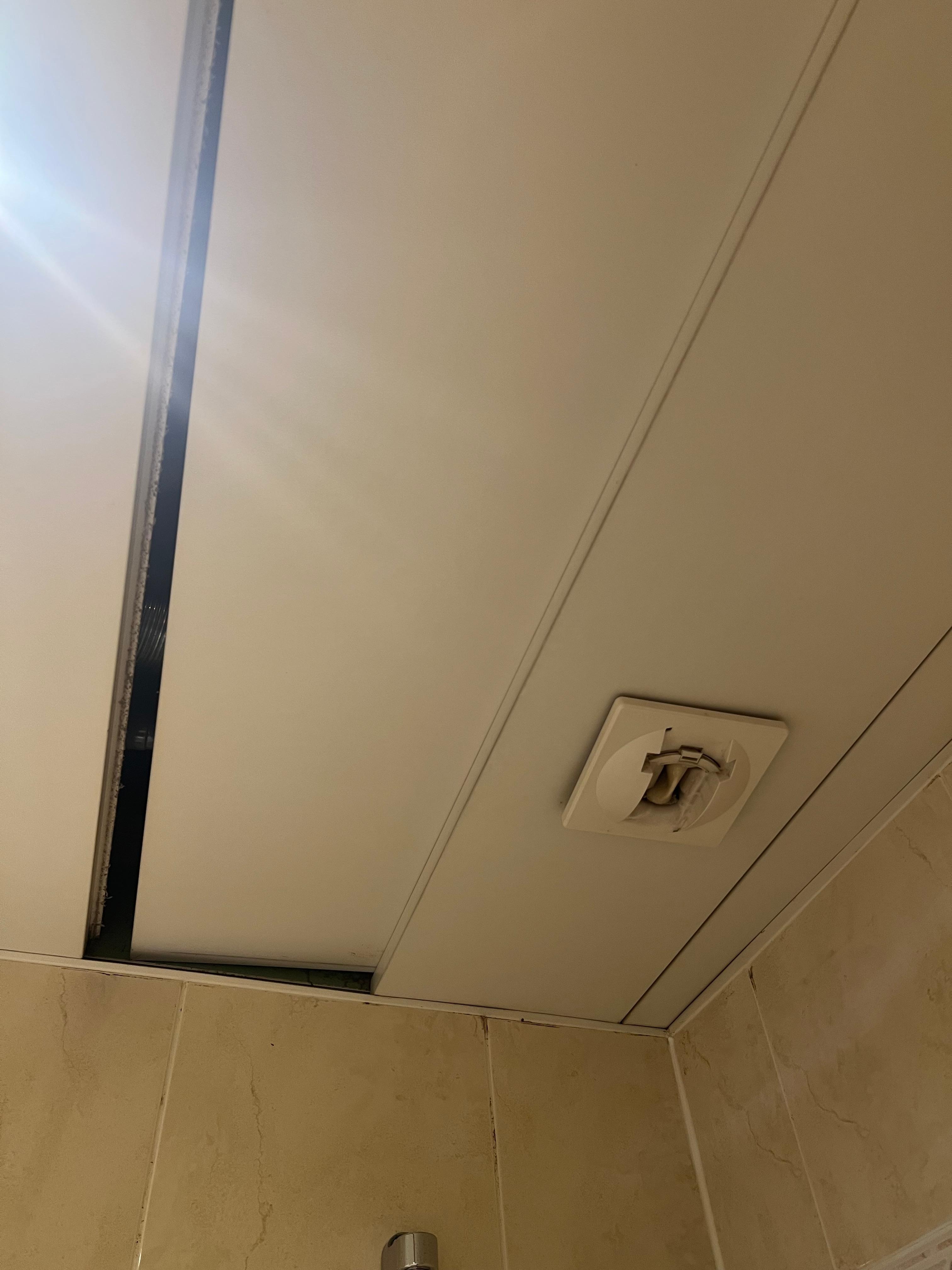 Bathroom ceiling