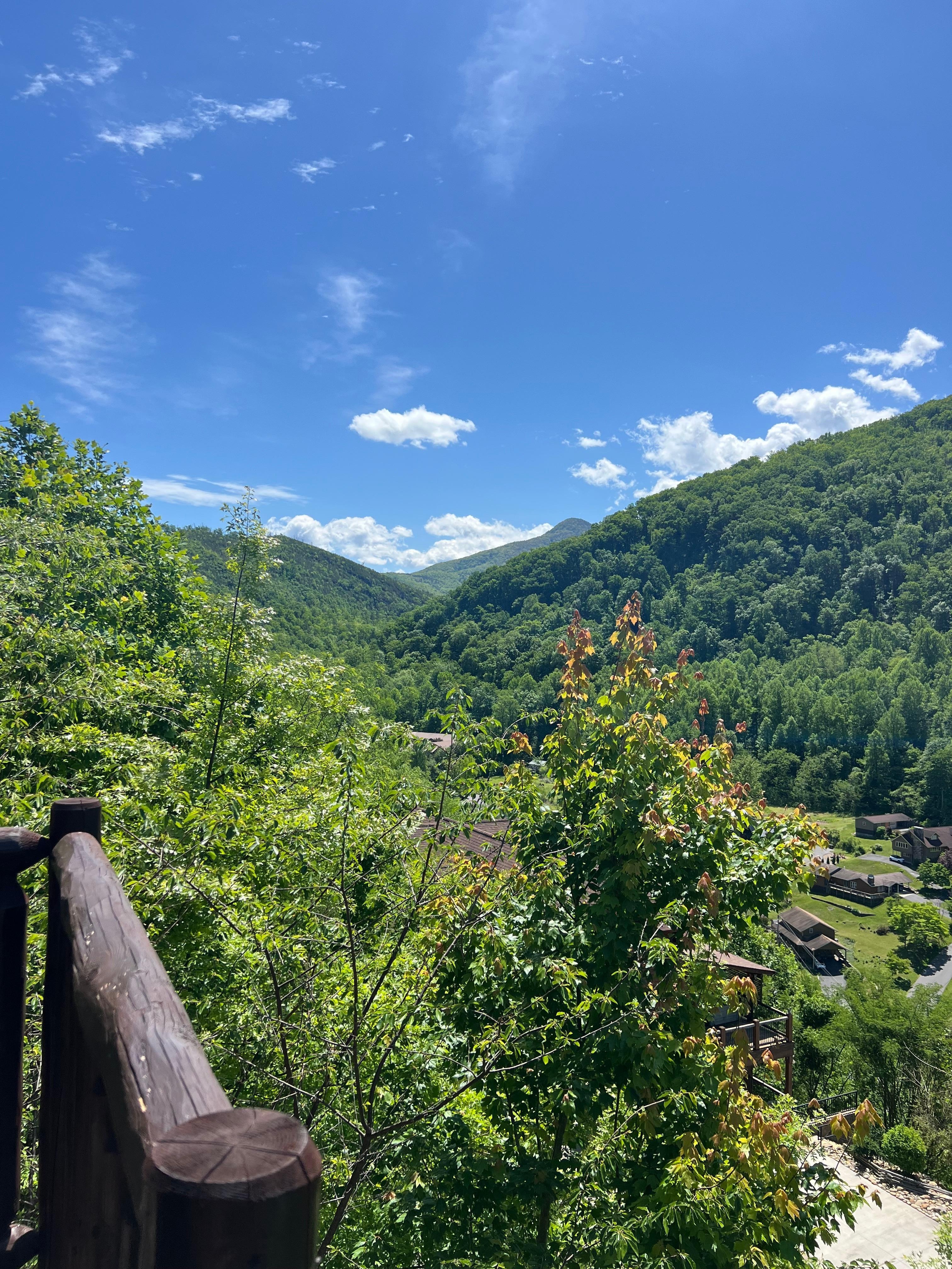 Beautiful view from deck.  We spent many hours on the deck enjoying the view,