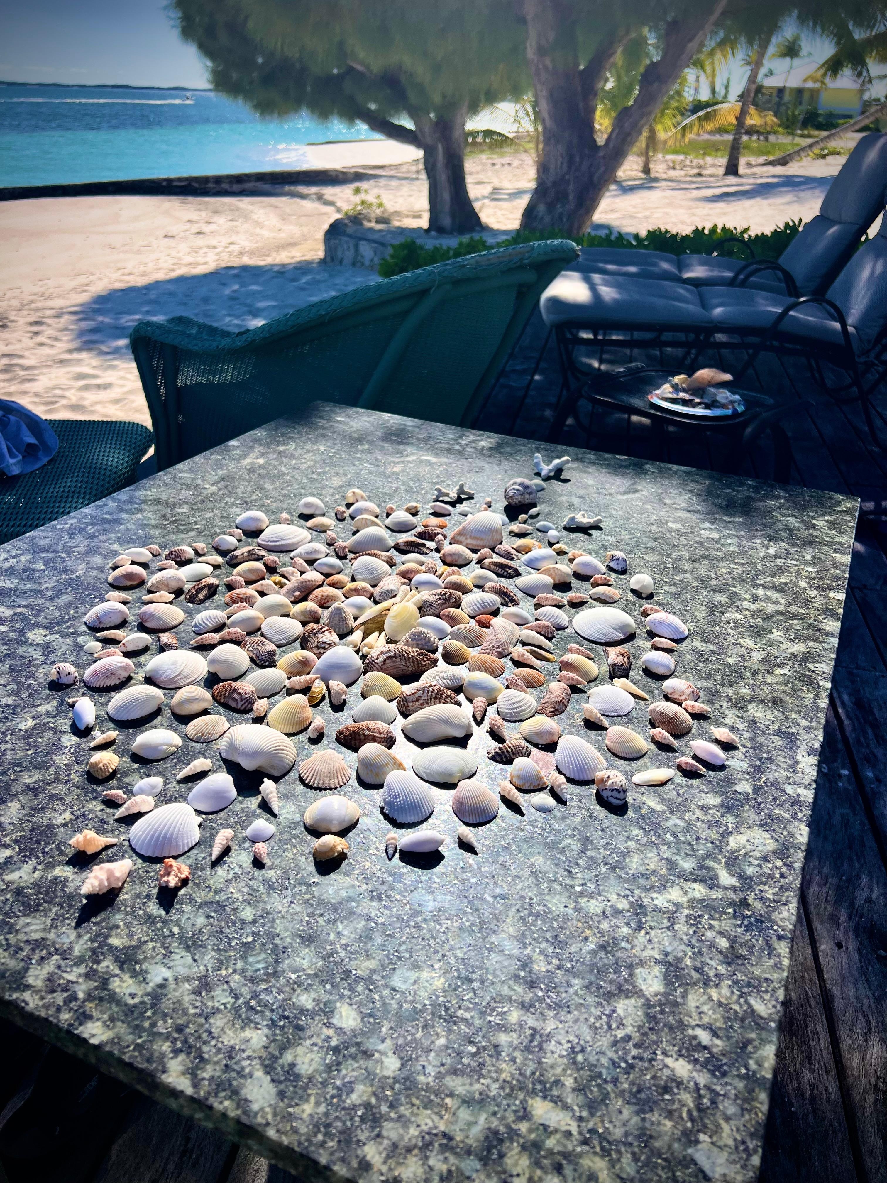 So fun with shells from the beach!