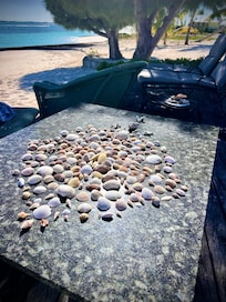 So fun with shells from the beach!