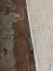 Cockroaches was Al over the place starting on the parking lot tower 3