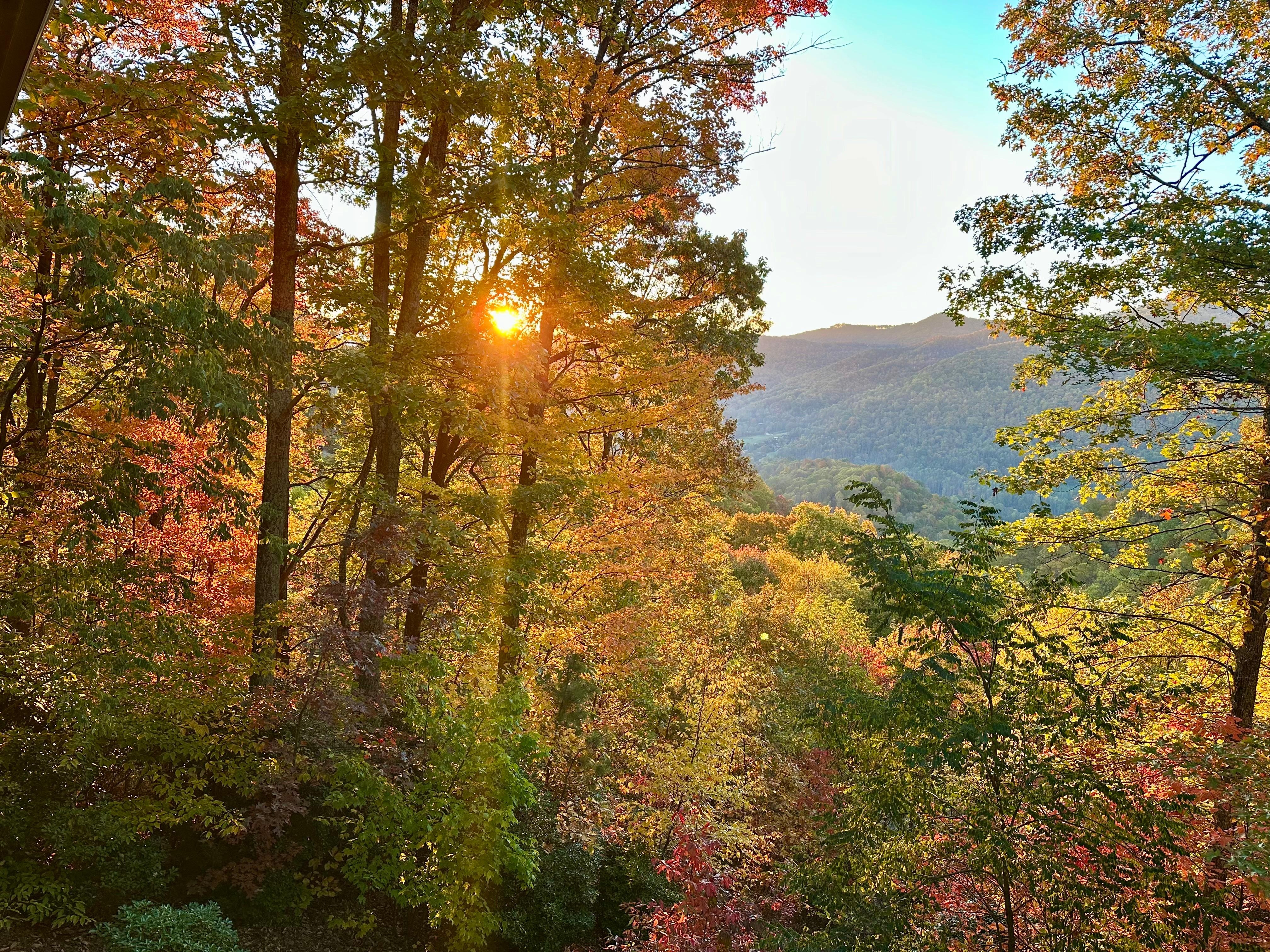 View from the deck at sunrise 