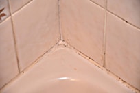 Schimmel in der Dusche