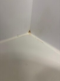 Unclean shower