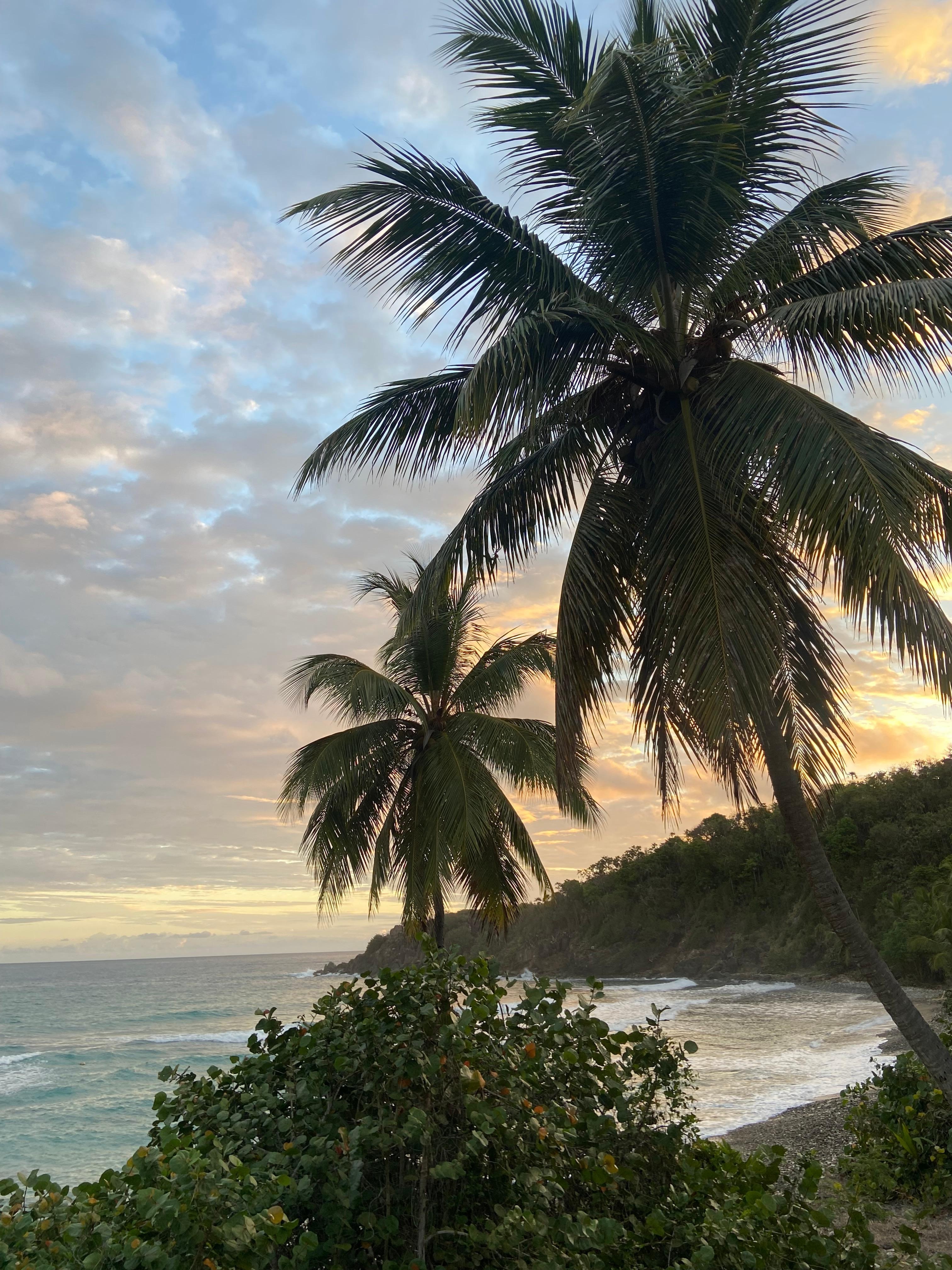 From the chairs on the deck
