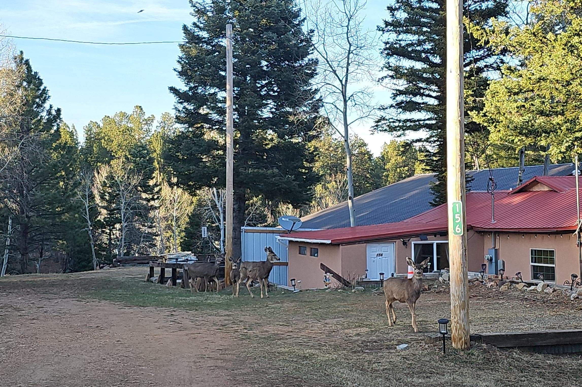 The neighborhood welcome committee 