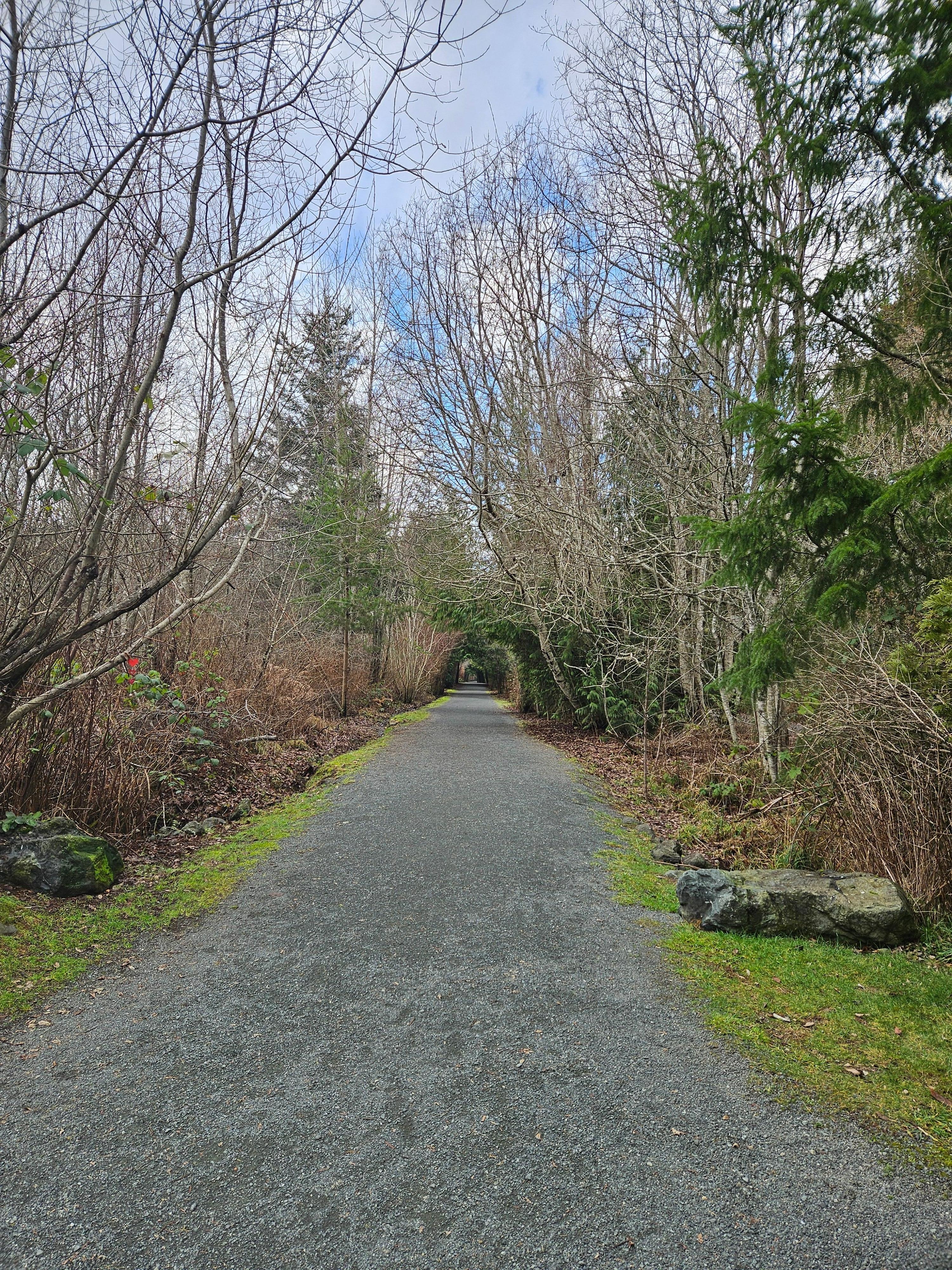 Trail at Qualicum Bay