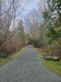 Trail at Qualicum Bay
