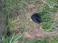 This sock was just near the steps to the property