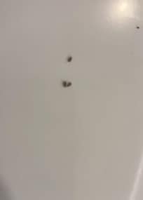 We're on our towels and personal items in the bathroom