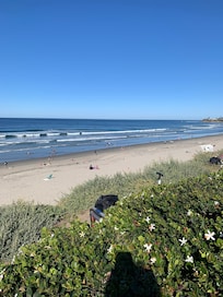 Beach out front