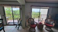 View from livingroom.