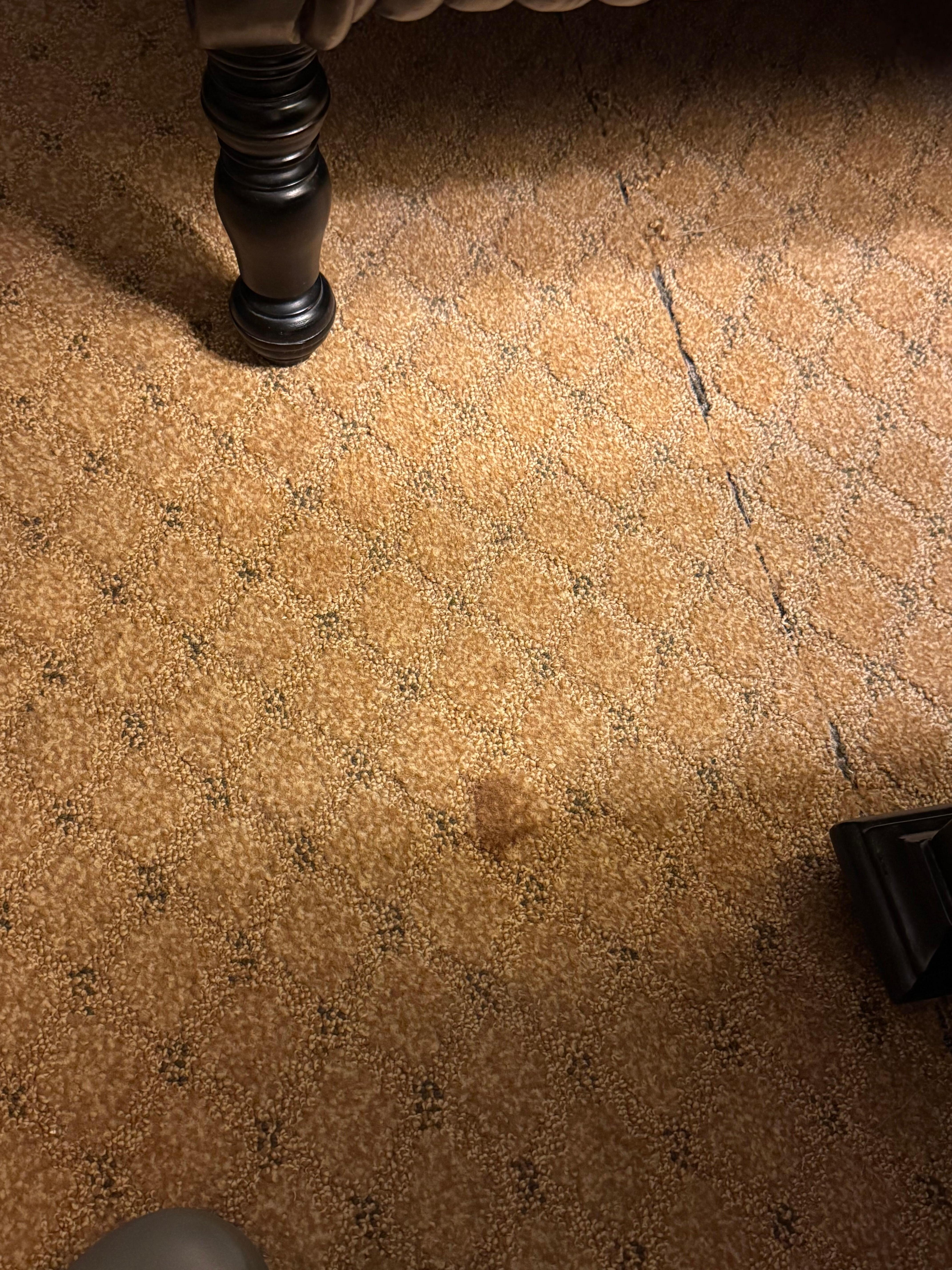 Dirty carpet stains 