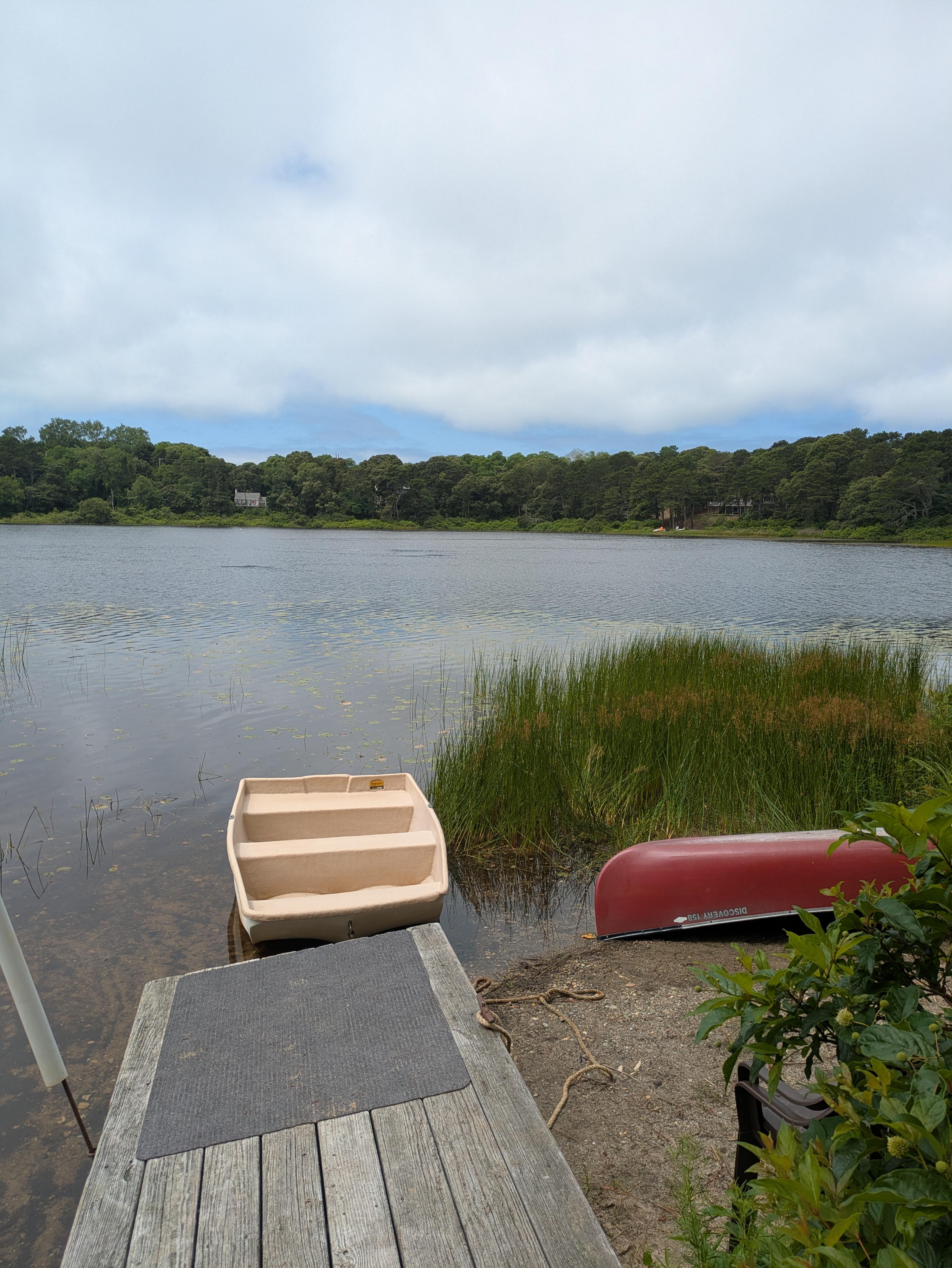 Beautiful looking over Minister pond 