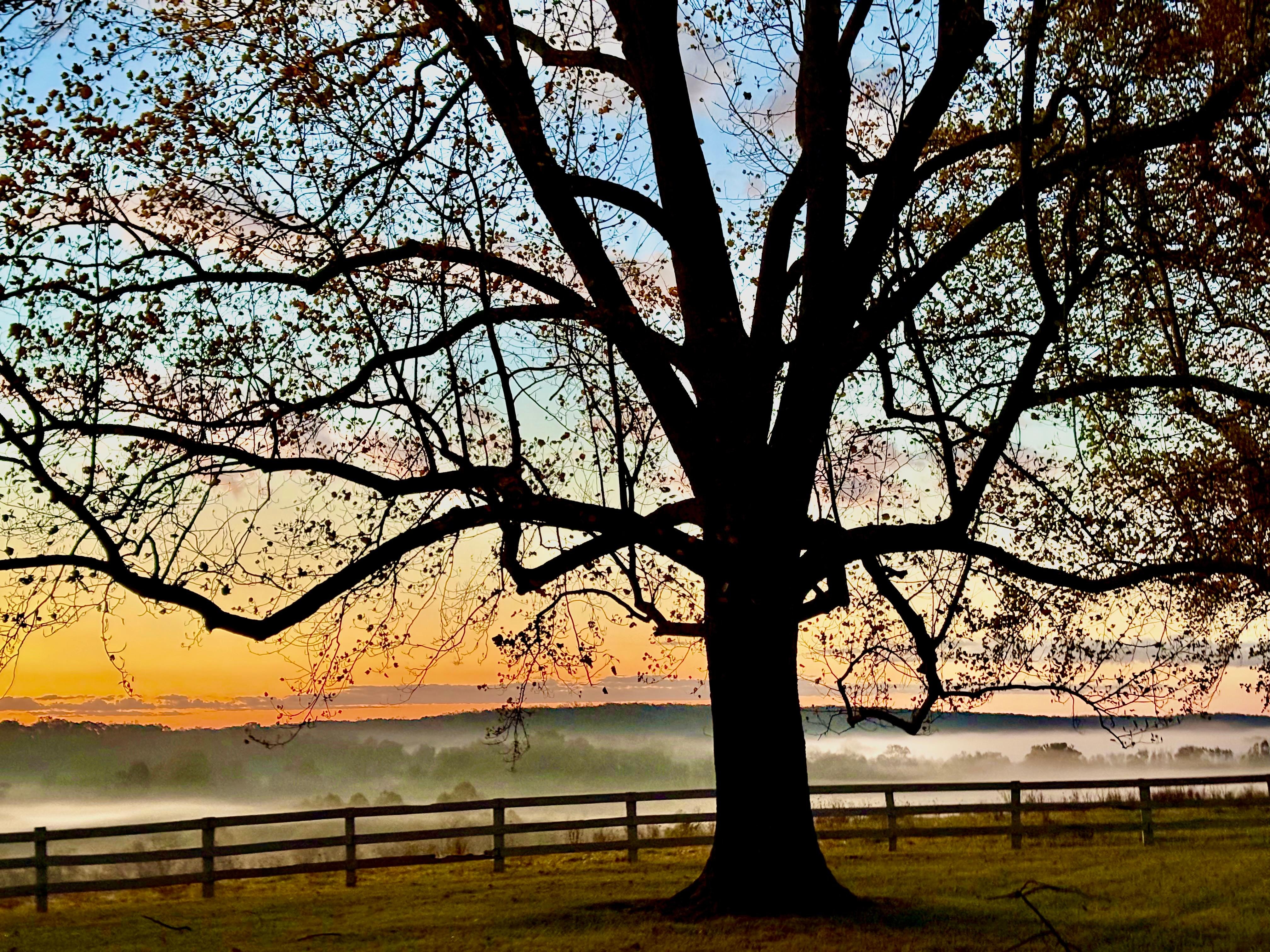 View from the property.