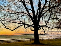 View from the property.