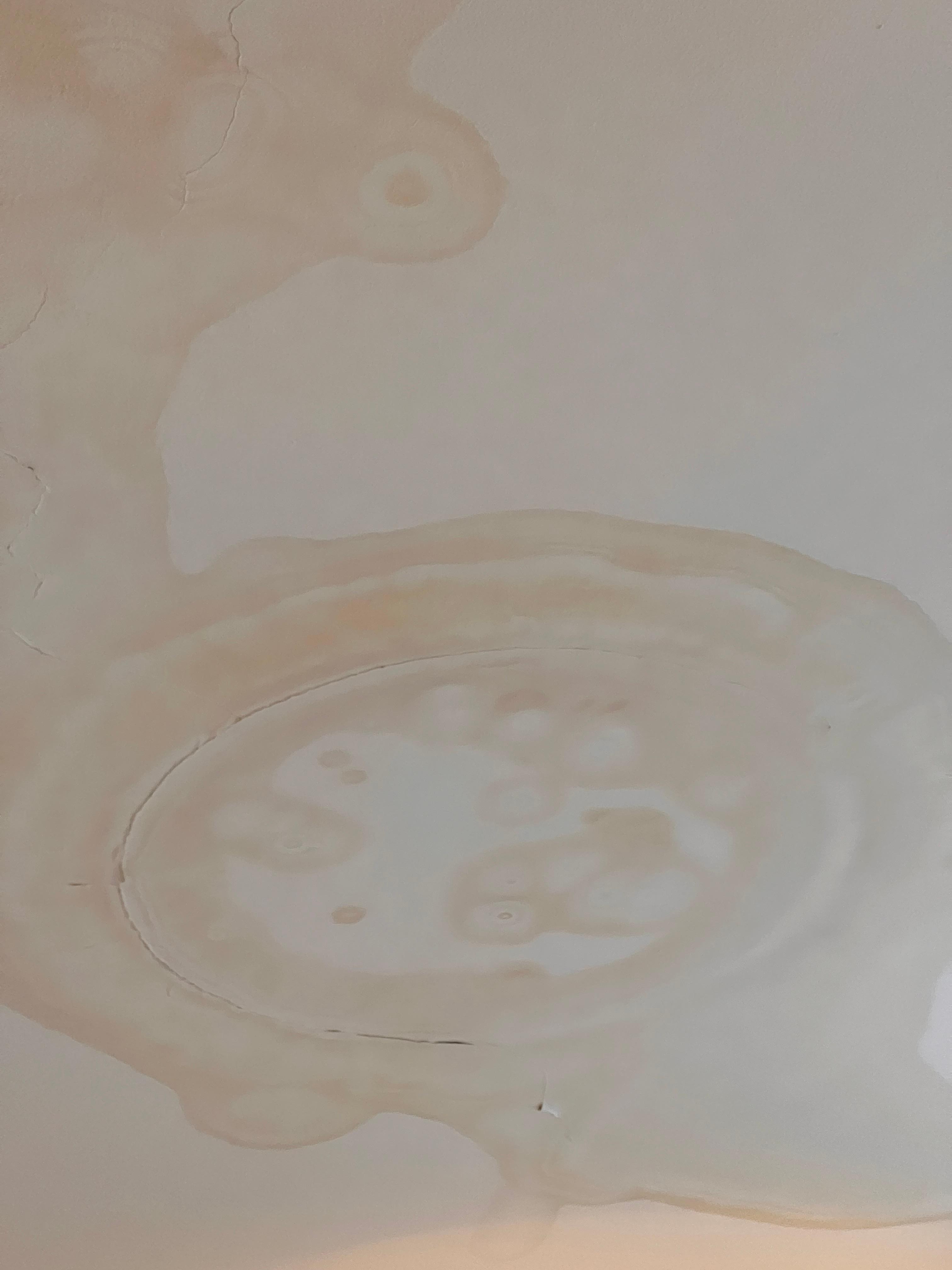 Huge water stain on ceiling