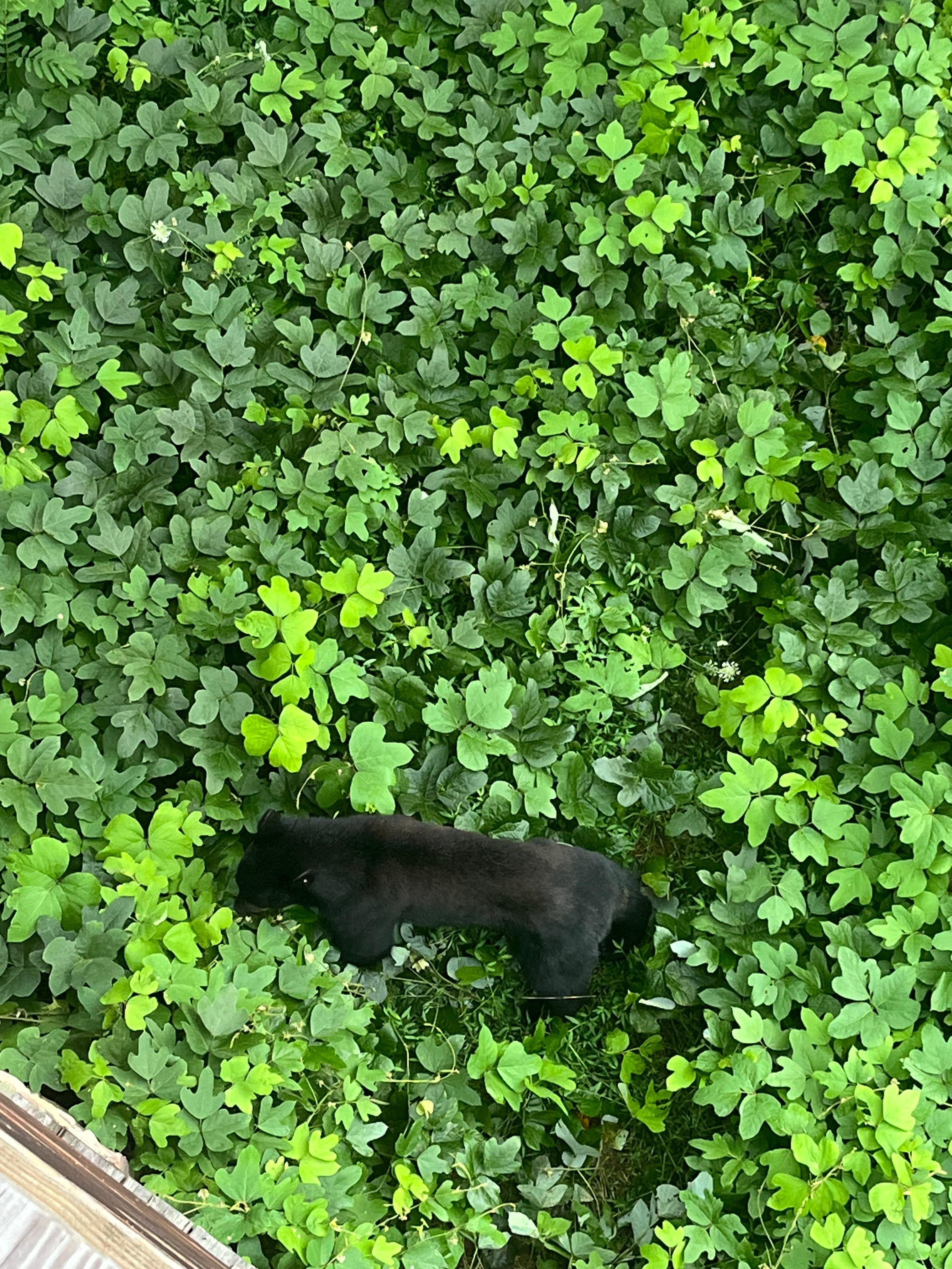 outside the cabin on our last day