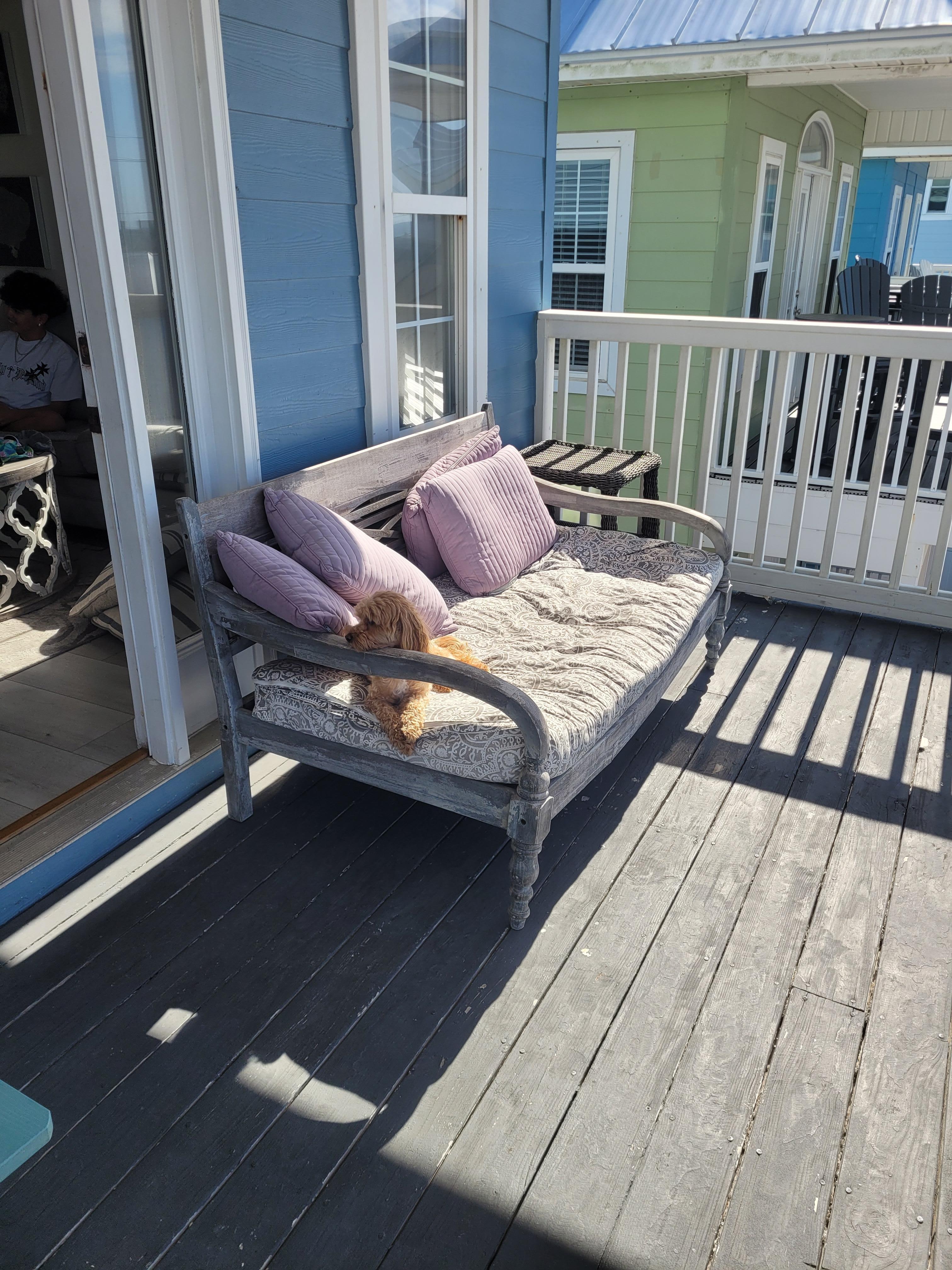 Our pup enjoying the Florida sun from the top porch