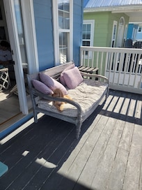 Our pup enjoying the Florida sun from the top porch