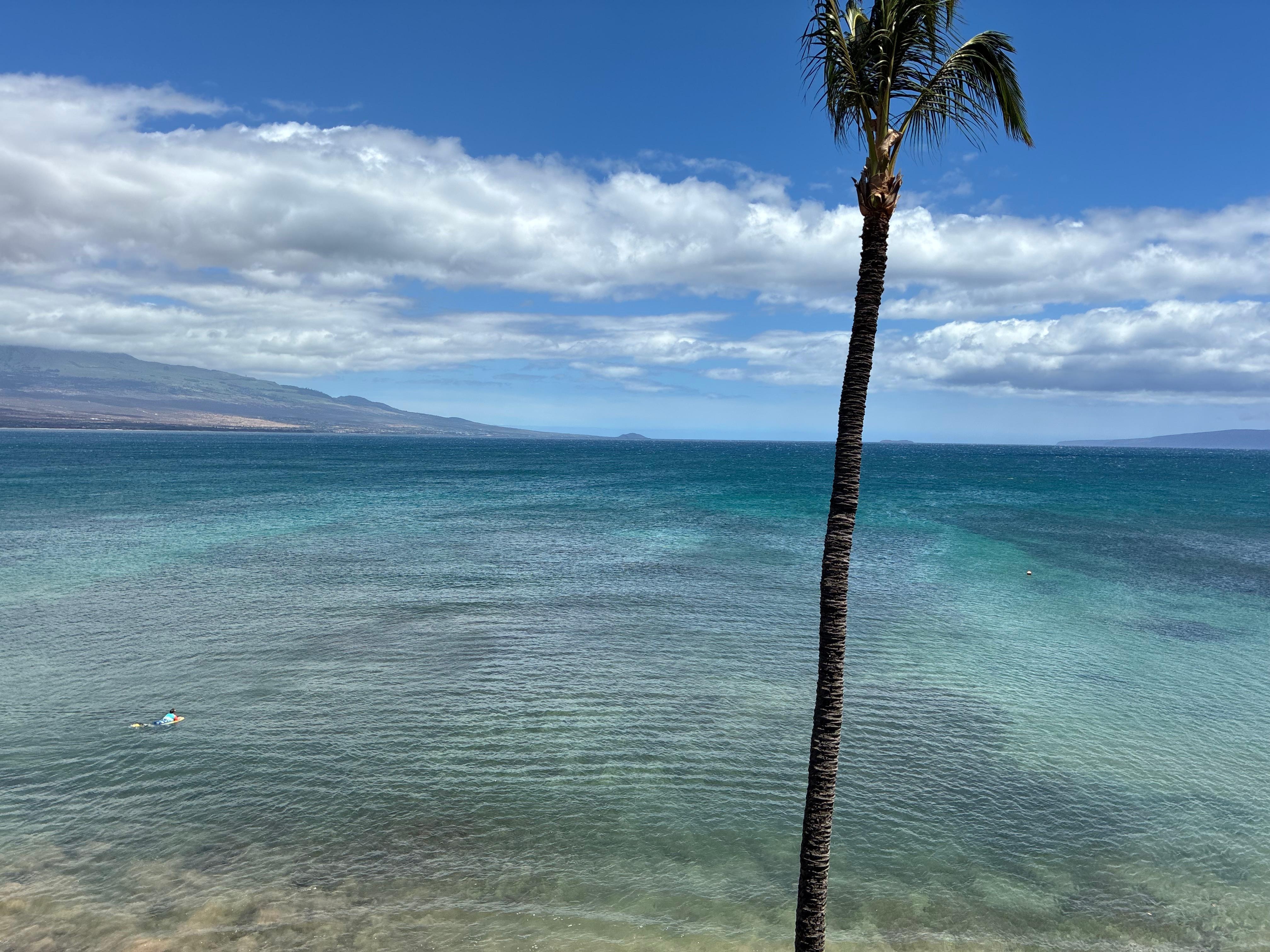 Reefs great for snorkeling when the ocean was calmer.  
