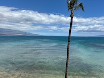 Reefs great for snorkeling when the ocean was calmer.