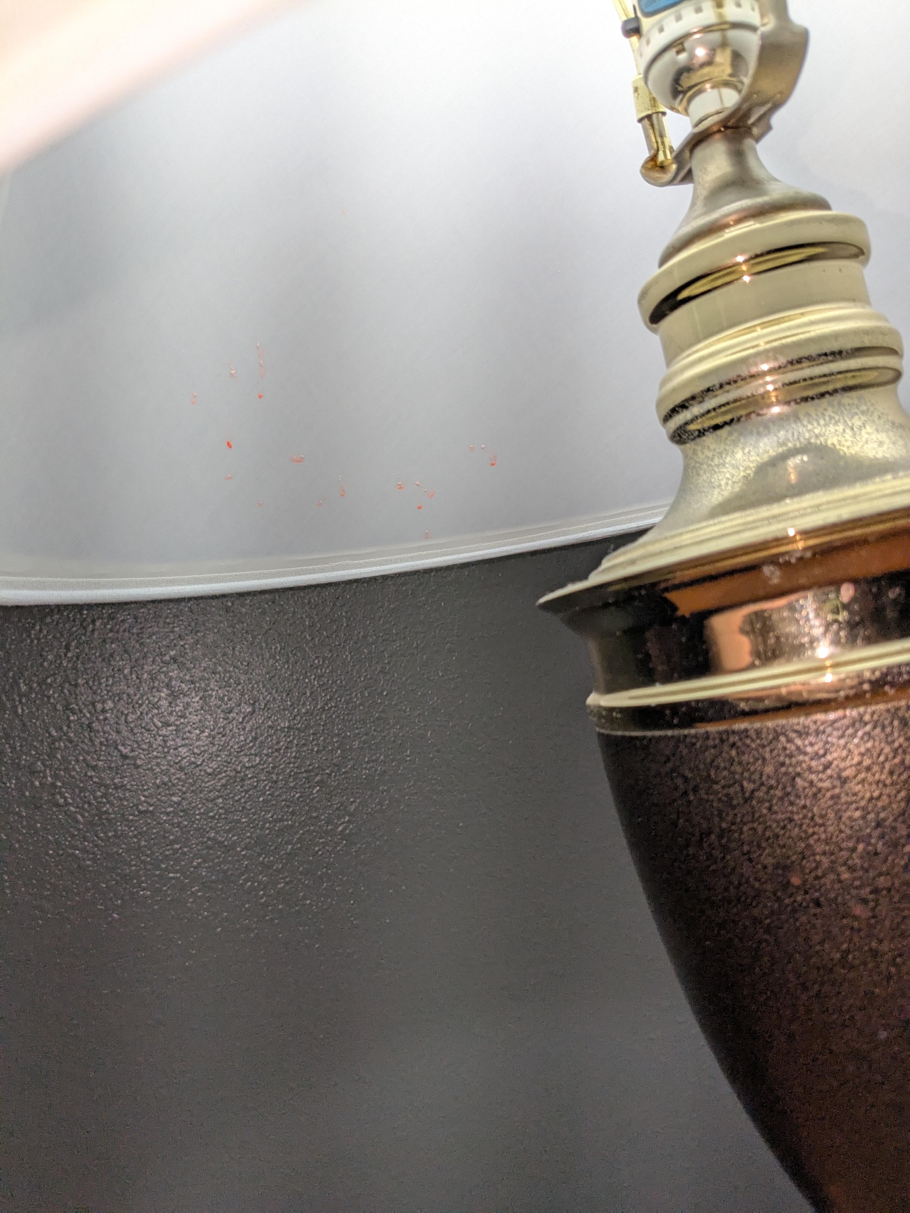 Pink substance under lamp shade