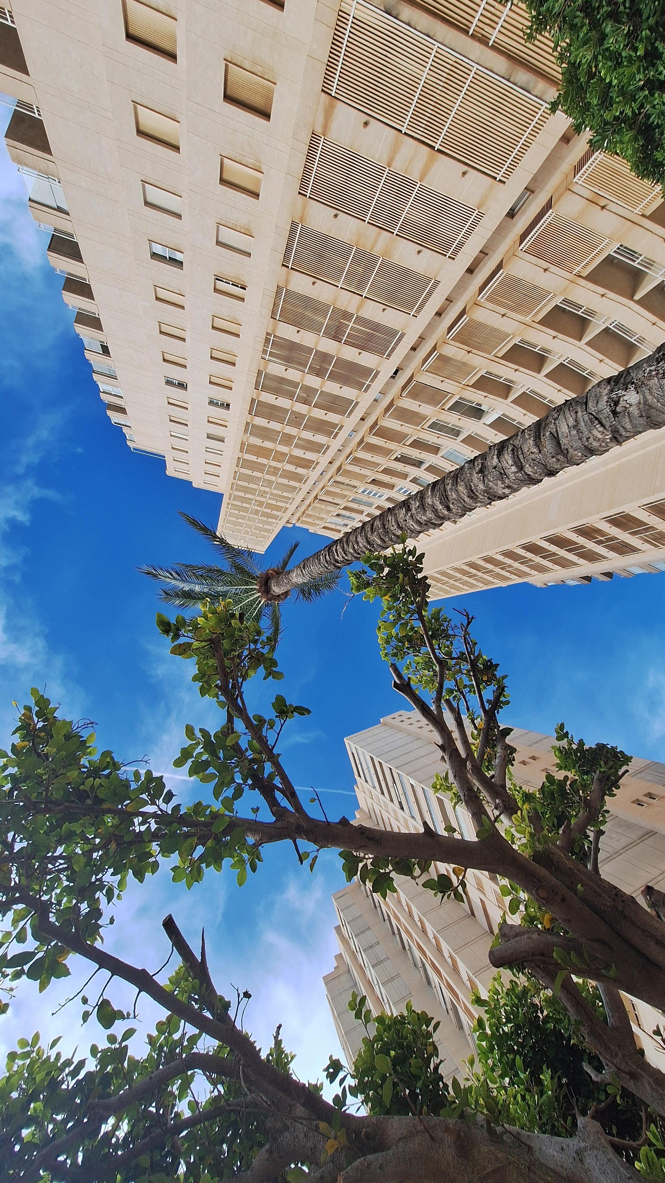 Vistas del bloque desde la piscina