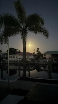 Taken off the back patio.