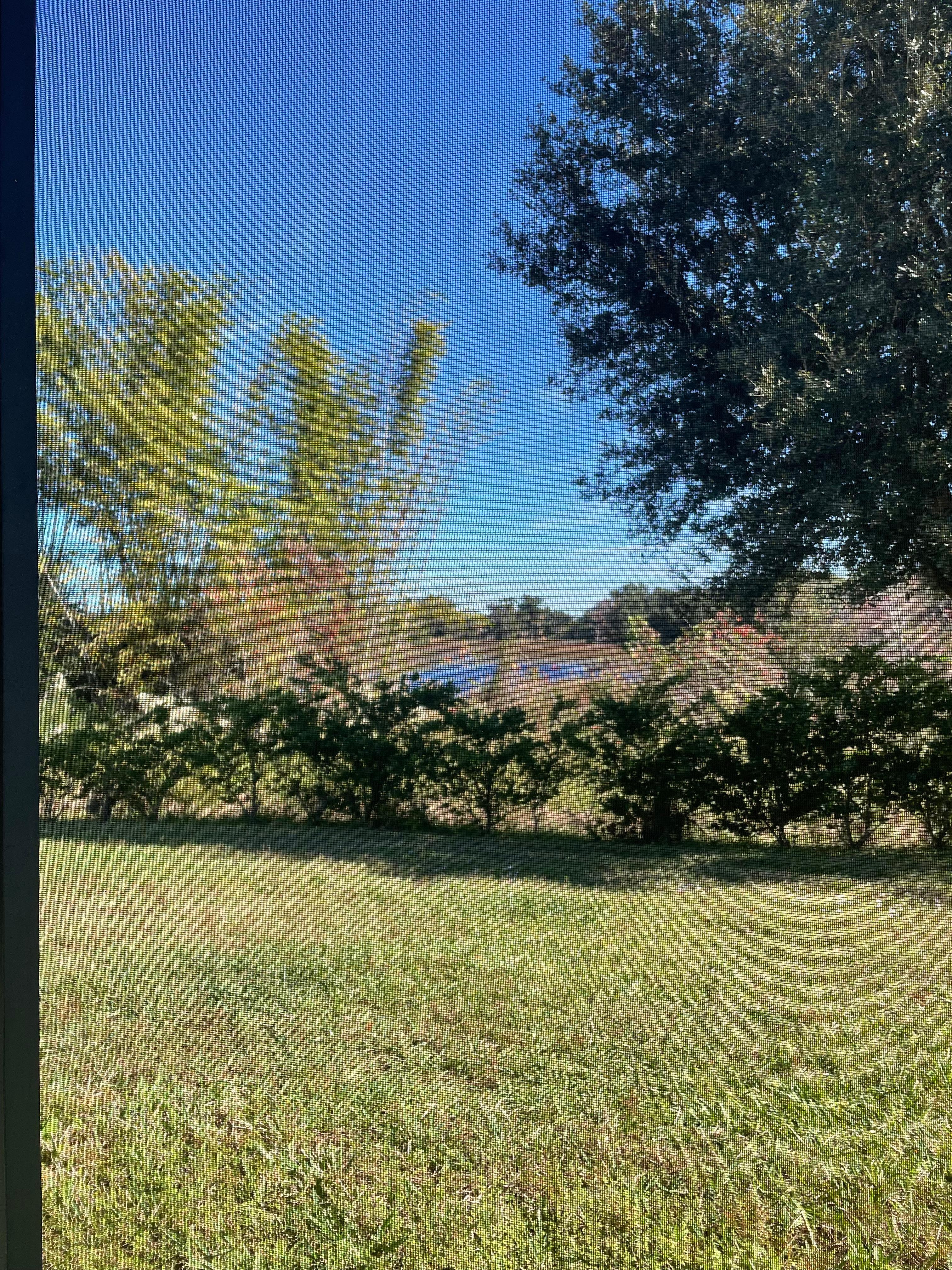 Quiet evening view of nature. 