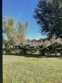 Quiet evening view of nature.