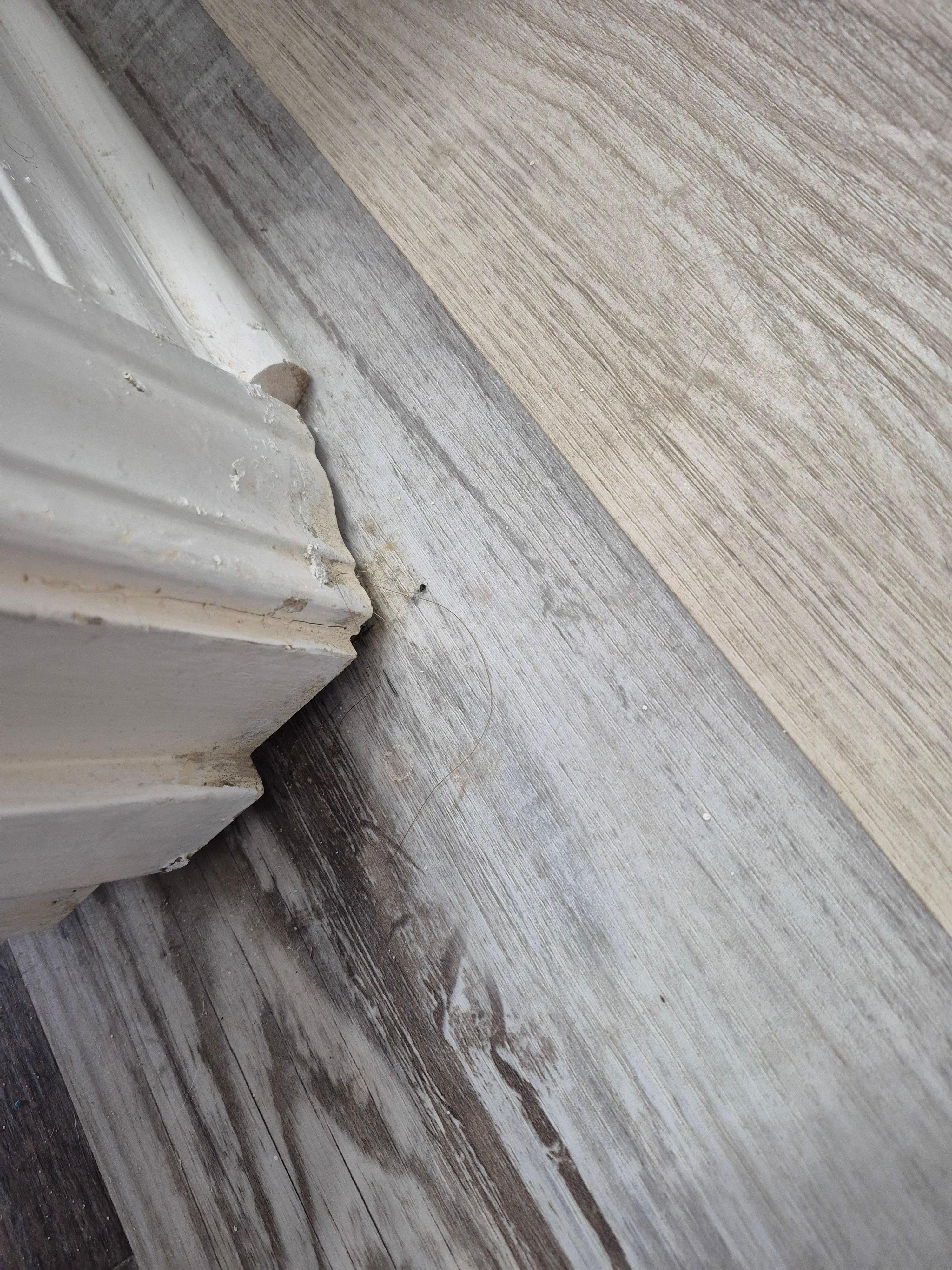 Dirty floor in bathroom