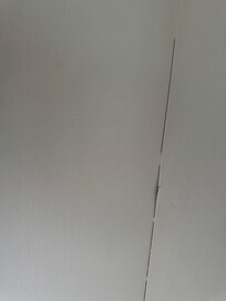 Wallpaper pealing from walls