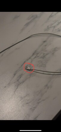 1 of several Gnats in the kitchen