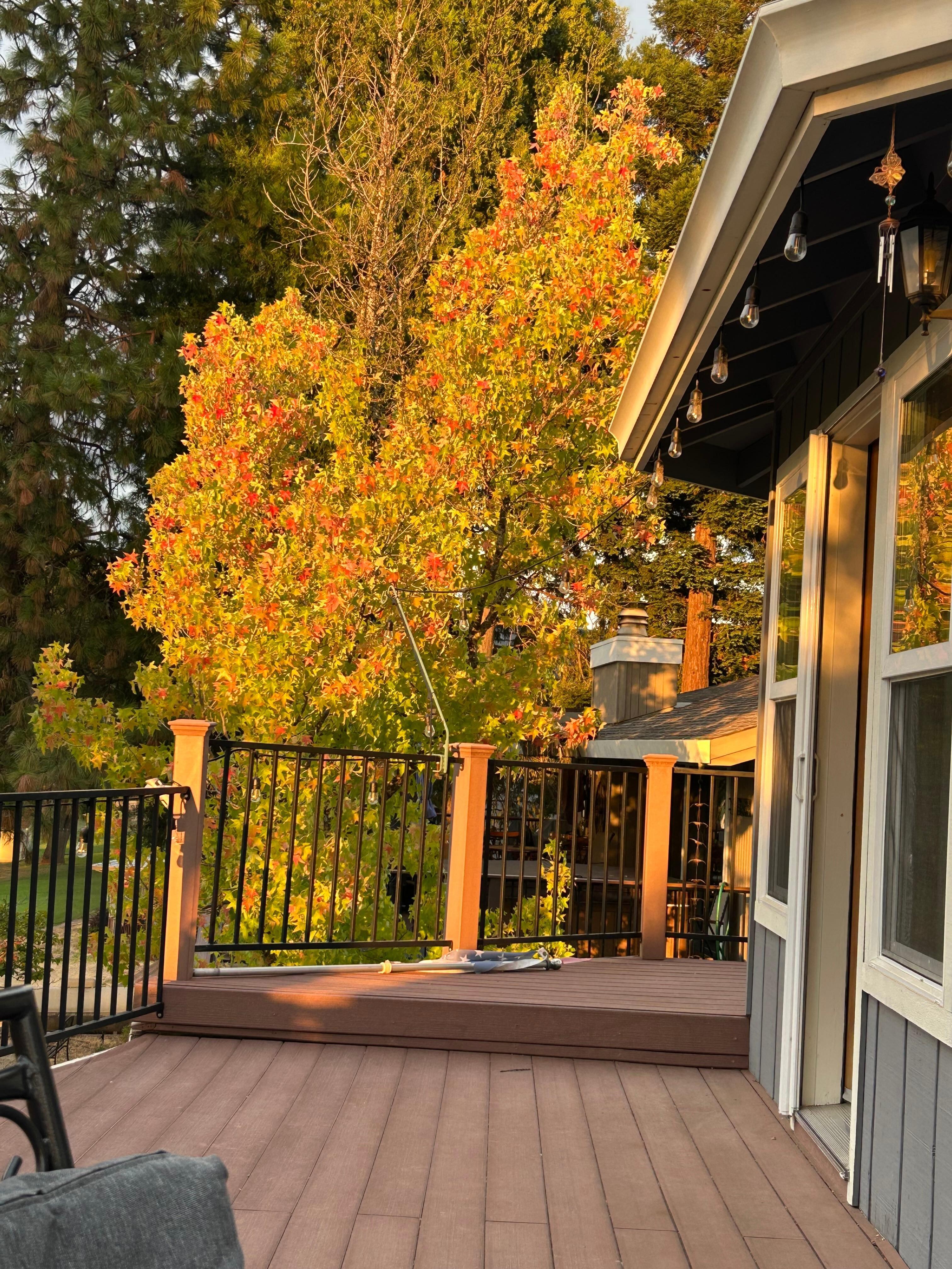 From back deck looking to side of house