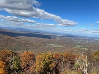 The colors were beautiful!