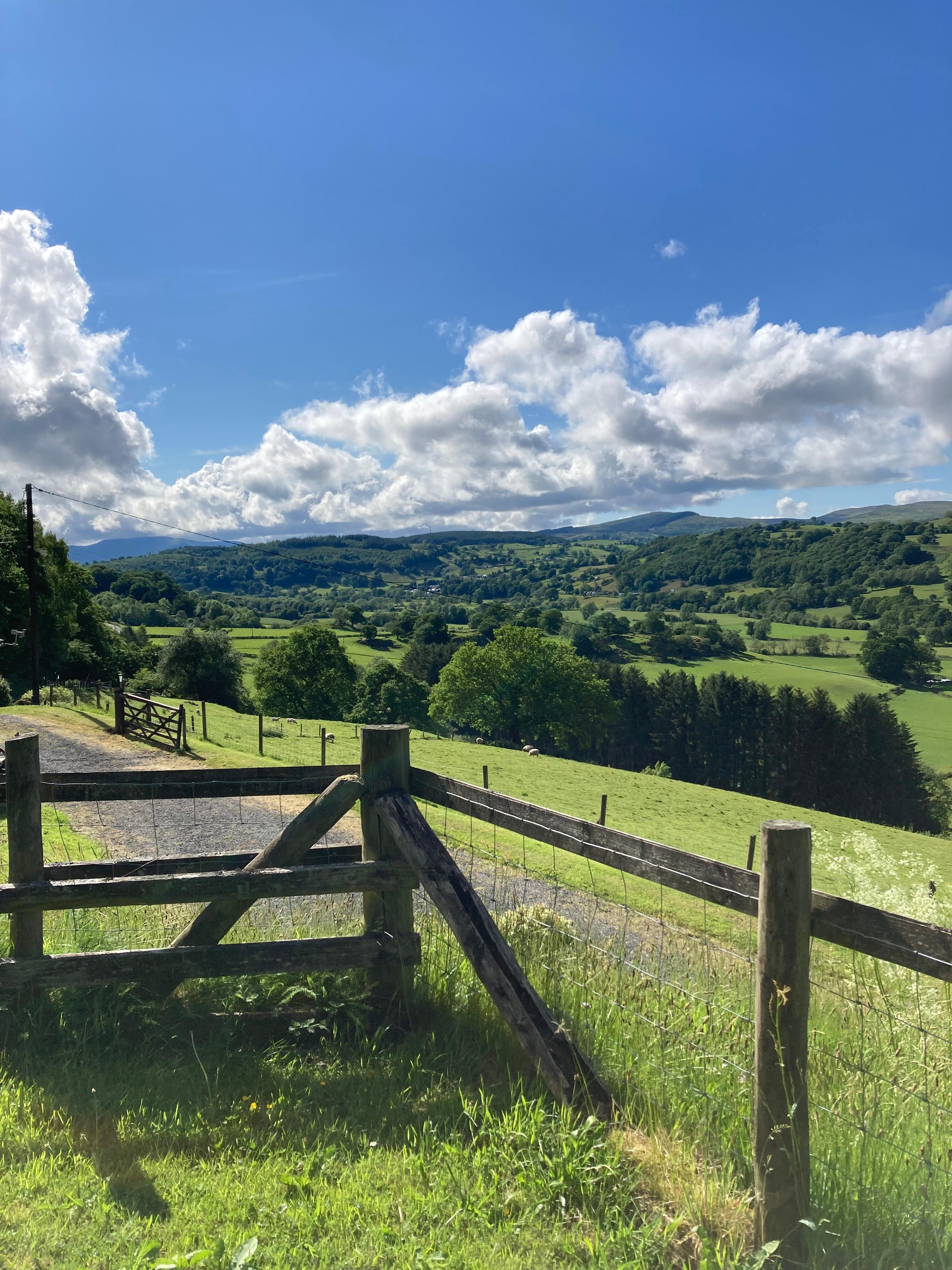View from the garden.