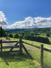 View from the garden.