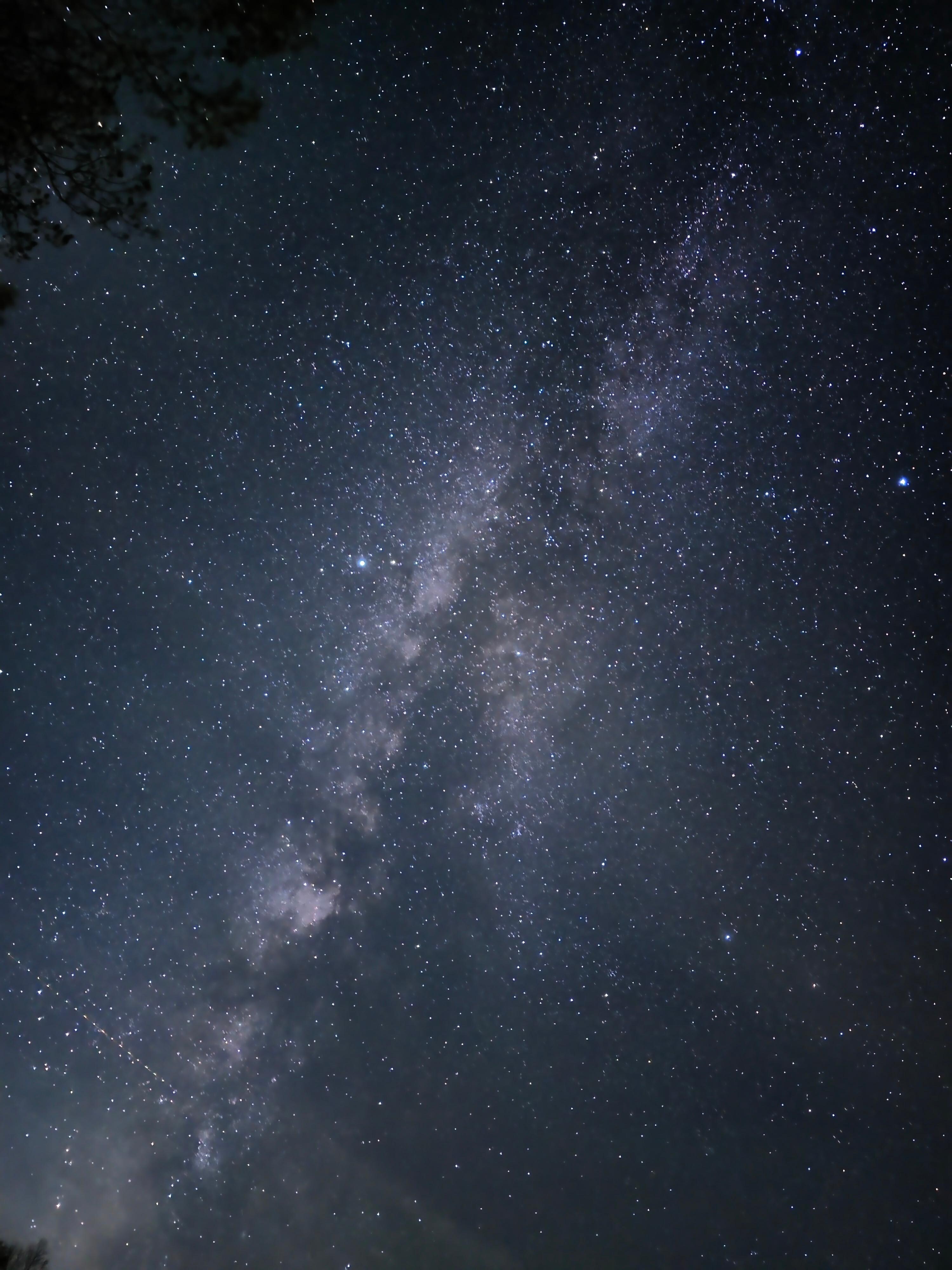 Taken from the field behind the house.