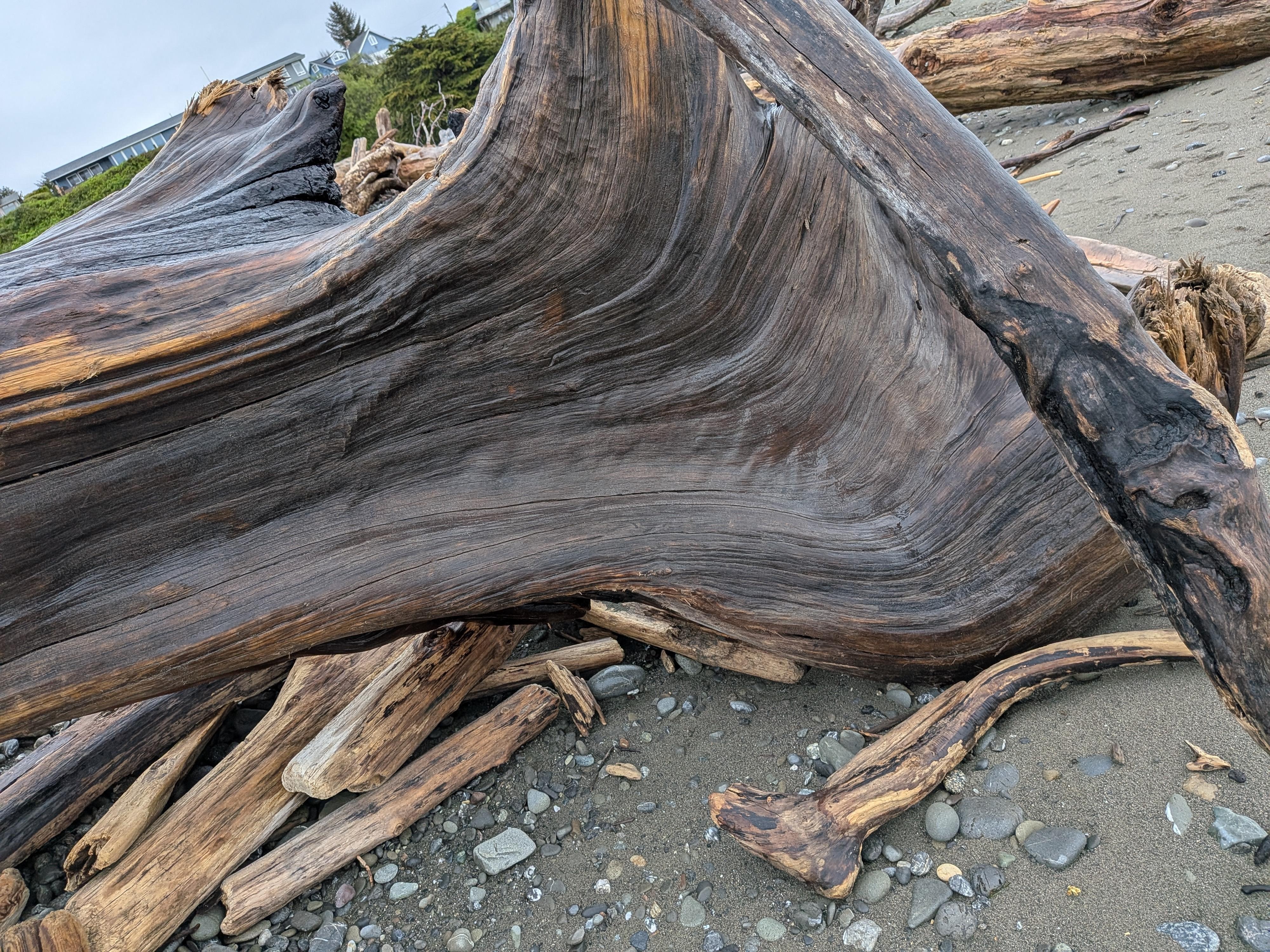 Cool wood on the beach! 