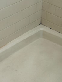 Mold and filth in shower