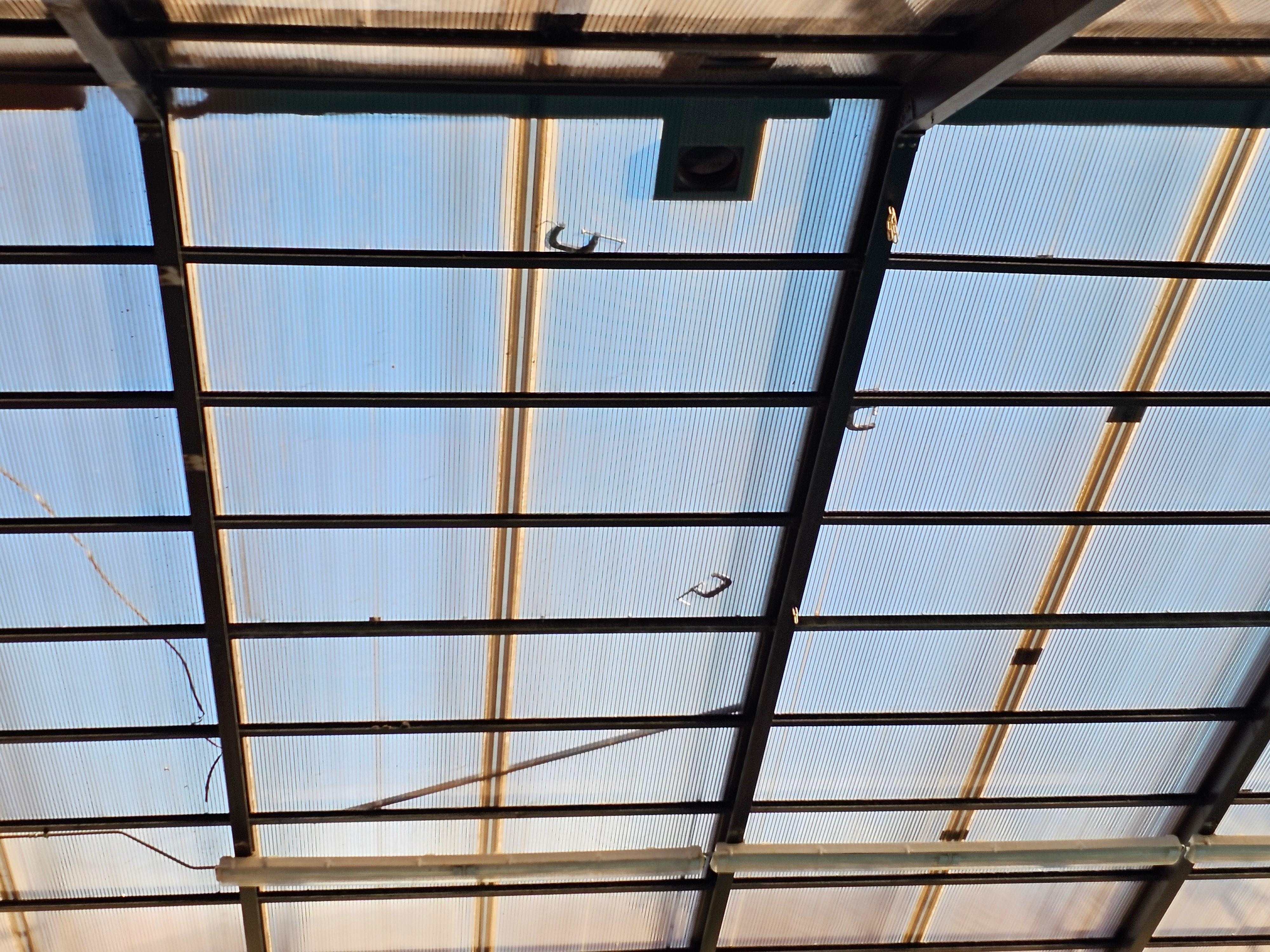 Strange things on the pool roof.... 🤷‍♀️