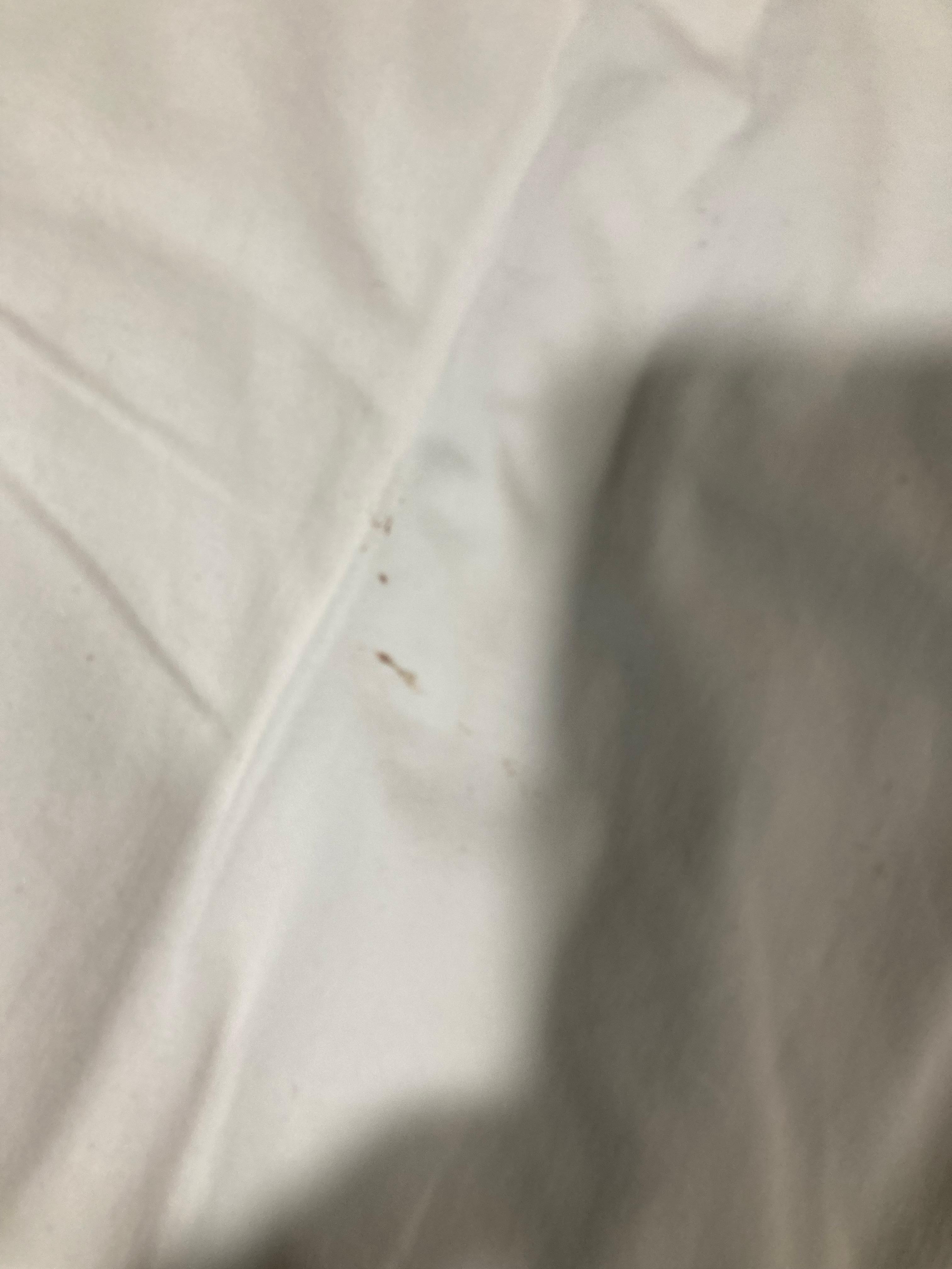 Bugs on sheets